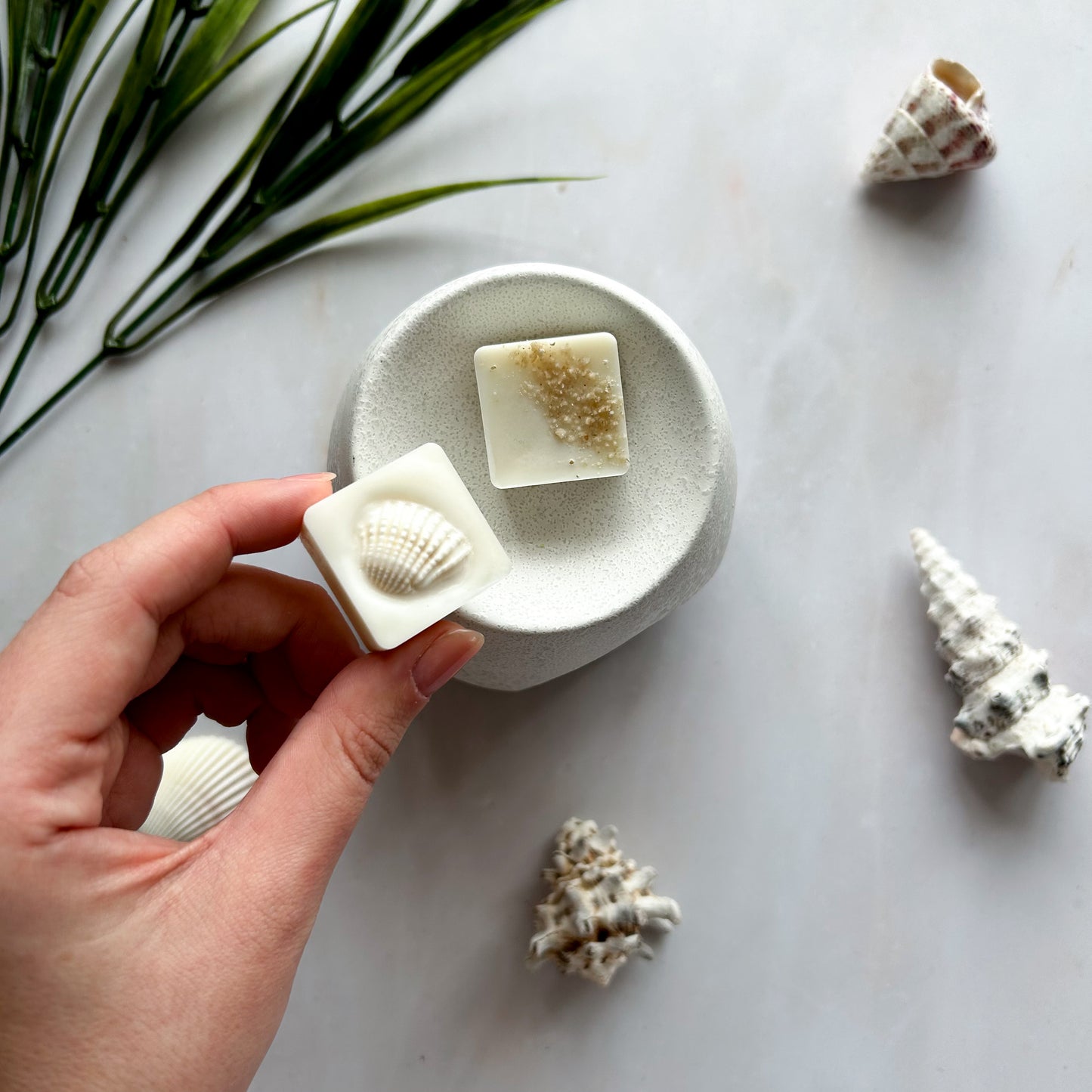 Seashore - Wax Melts
