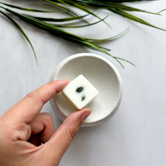 Spiced Pumpkin - Wax Melts